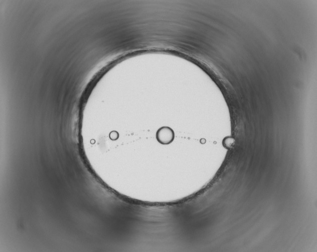 X0000114161126200910221602