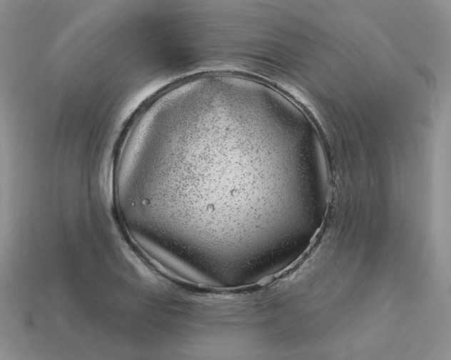 X0000114161127200910221602