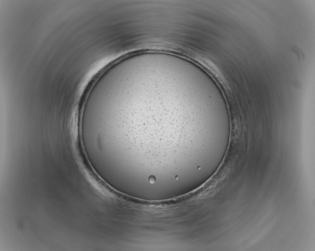 X0000114161128200910221602