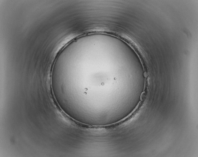 X0000114161129200910221602