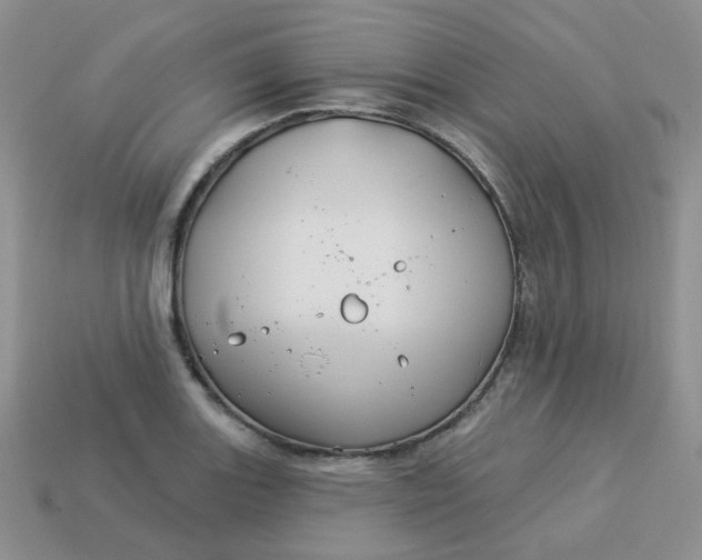 X0000114161131200910221602