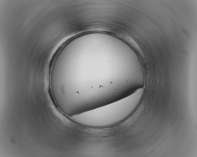 X0000114161132200910221602