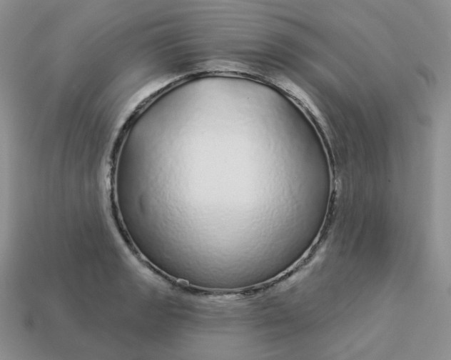 X0000114161133200910221602