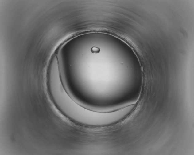 X0000114161134200910221602