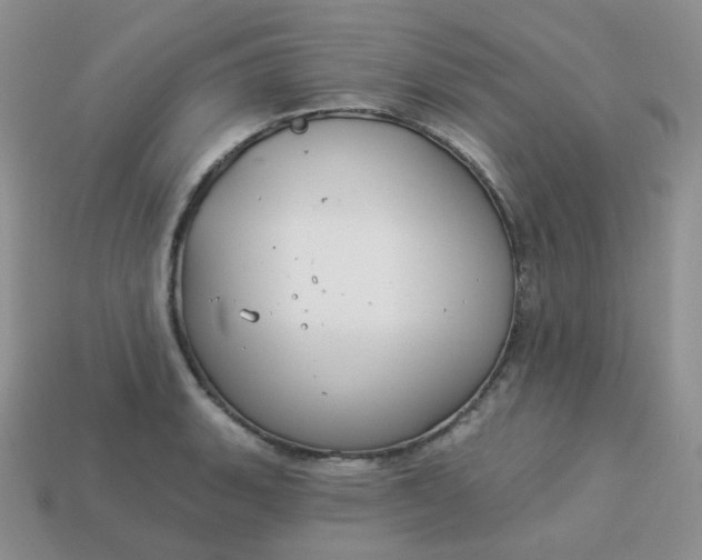 X0000114161135200910221602