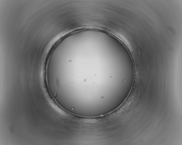 X0000114161136200910221602