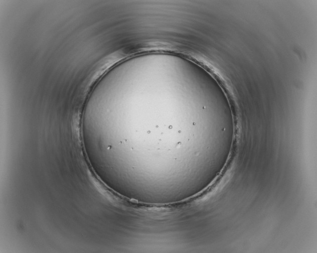 X0000114161137200910221602