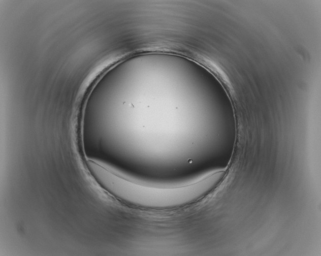 X0000114161138200910221602