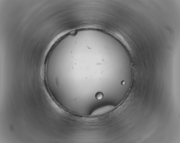 X0000114161140200910221602