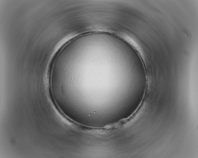 X0000114161141200910221602