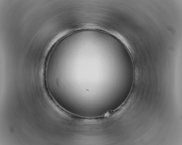 X0000114161142200910221602