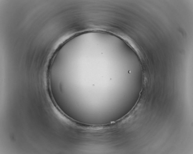 X0000114161143200910221602