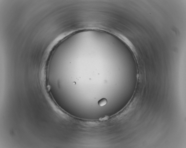 X0000114161144200910221602