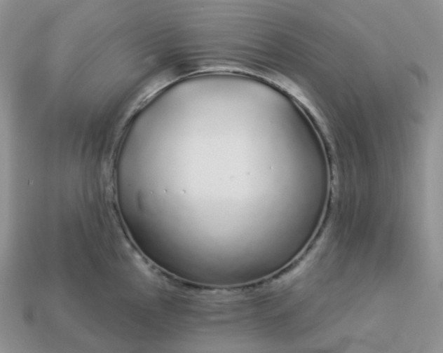 X0000114161145200910221602