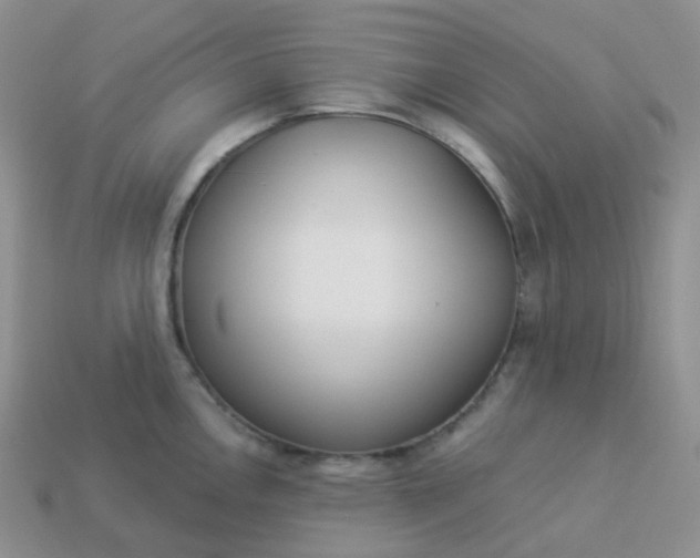 X0000114161146200910221602