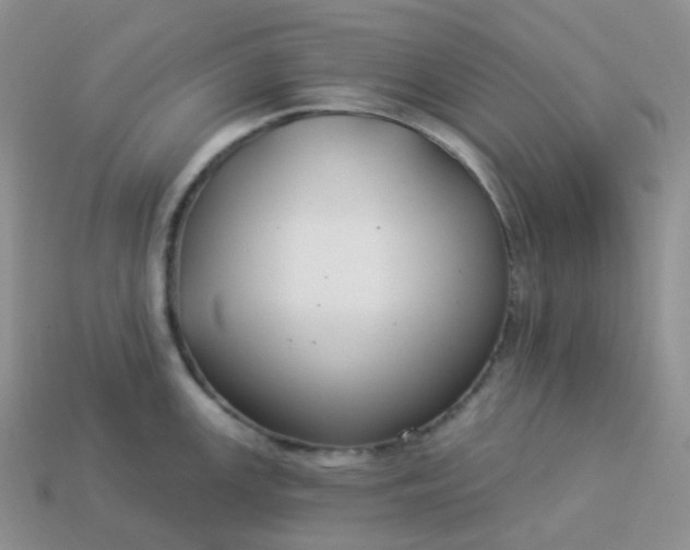 X0000114161147200910221602