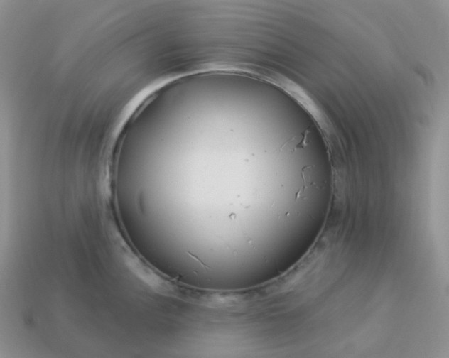 X0000114161148200910221602