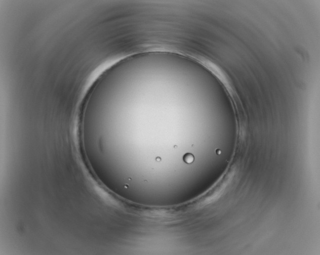 X0000114161149200910221602