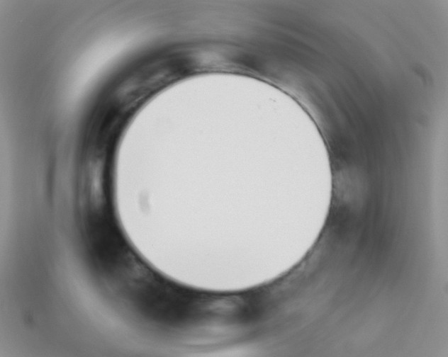 X0000114161150200910221602