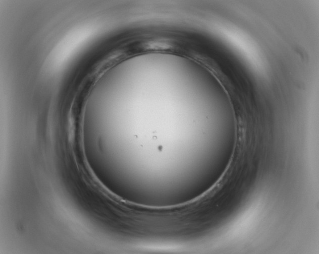 X0000114161151200910221602