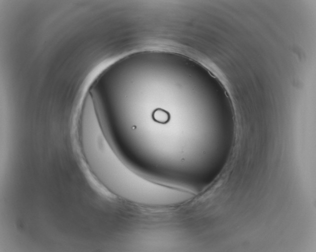 X0000114161152200910221602