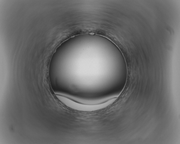 X0000114161153200910221602