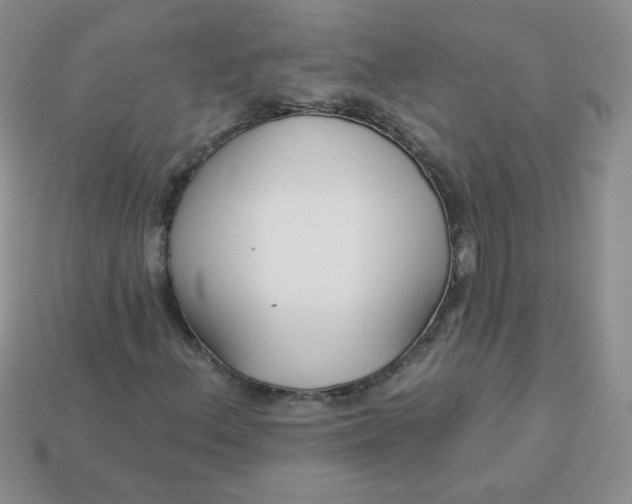 X0000114161156200910221602