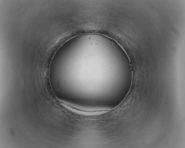 X0000114161157200910221602