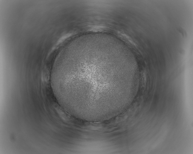 X0000114161158200910221602