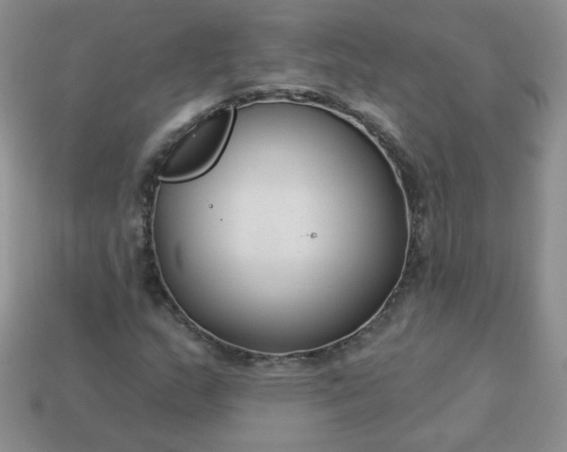 X0000114161159200910221602