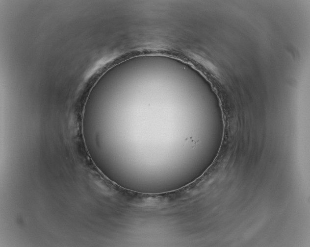 X0000114161160200910221602