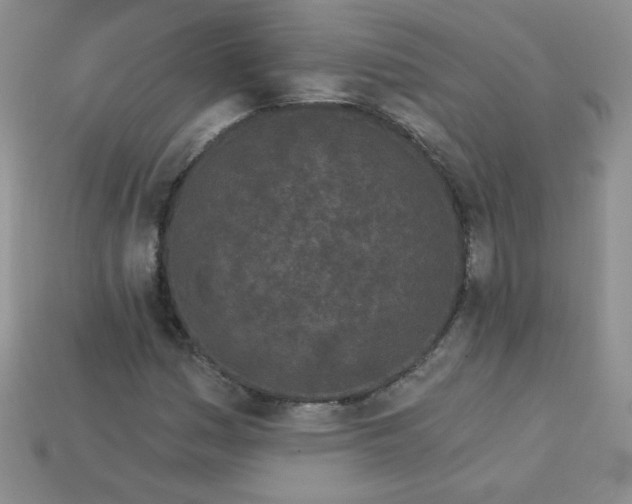 X0000114161161200910221602