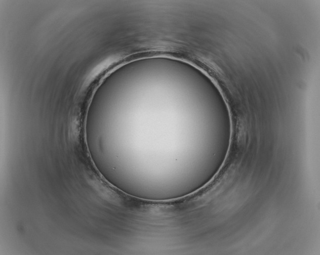 X0000114161163200910221601