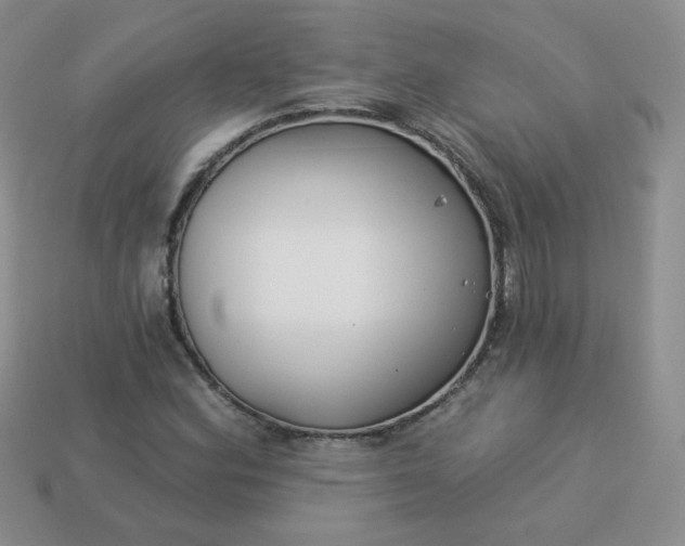 X0000114161164200910221601