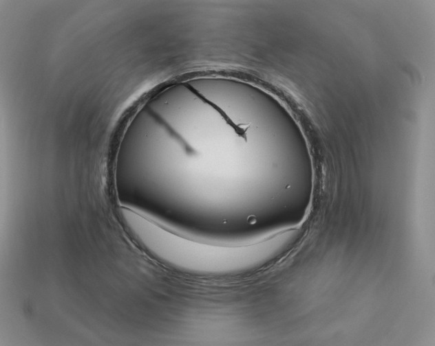 X0000114161165200910221601