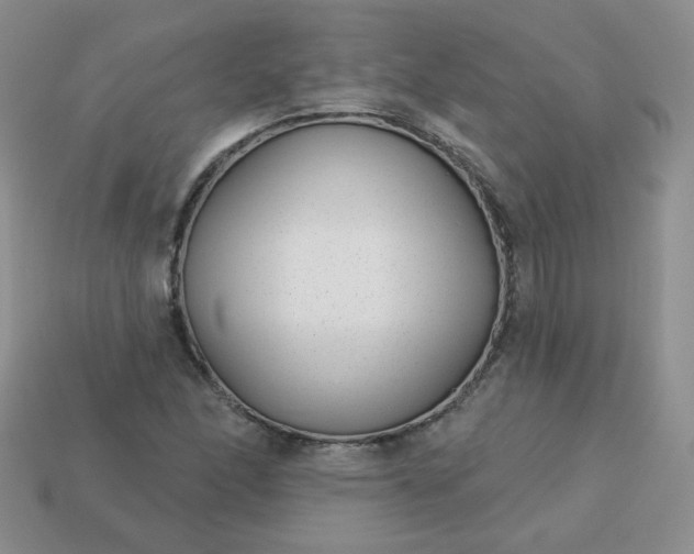 X0000114161166200910221601