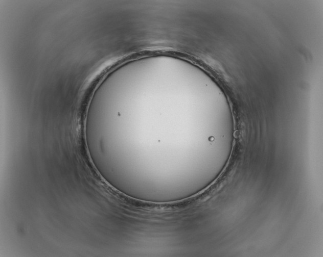 X0000114161167200910221601