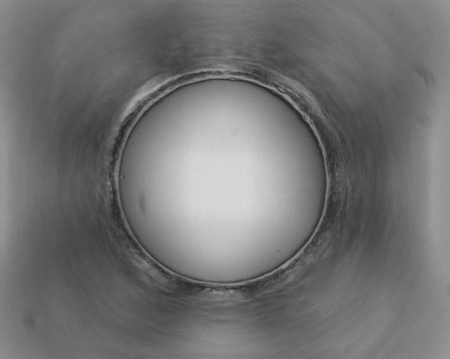 X0000114161168200910221601