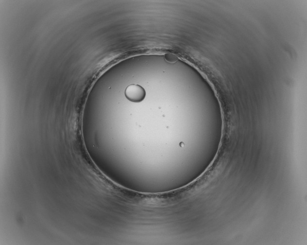 X0000114161169200910221601