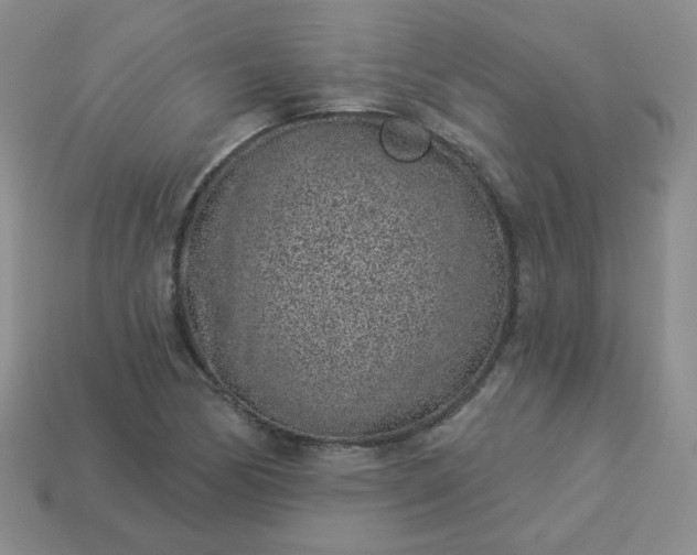 X0000114161170200910221601