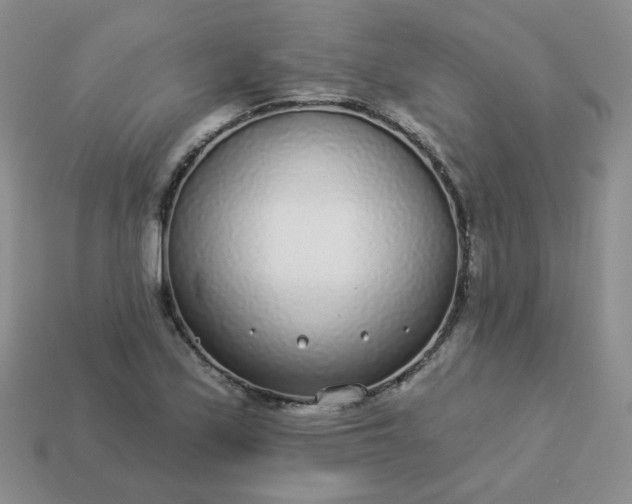 X0000114161171200910221601