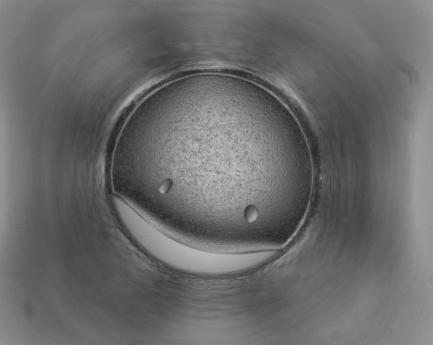 X0000114161173200910221601