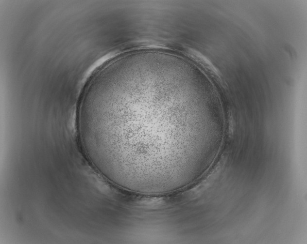 X0000114161174200910221601