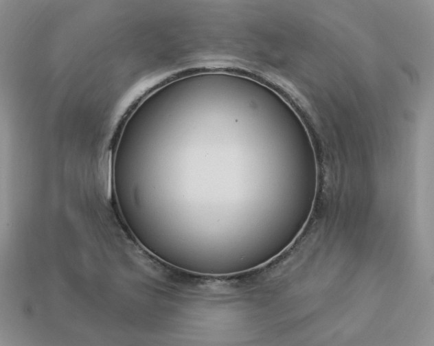 X0000114161175200910221601