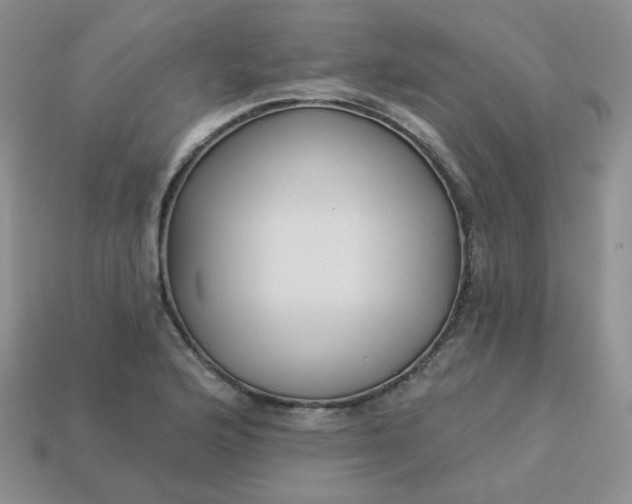 X0000114161176200910221601