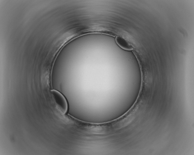 X0000114161177200910221601