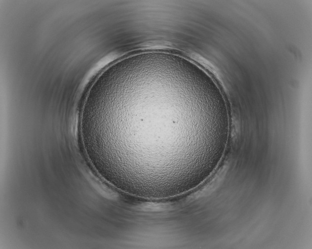 X0000114161179200910221601