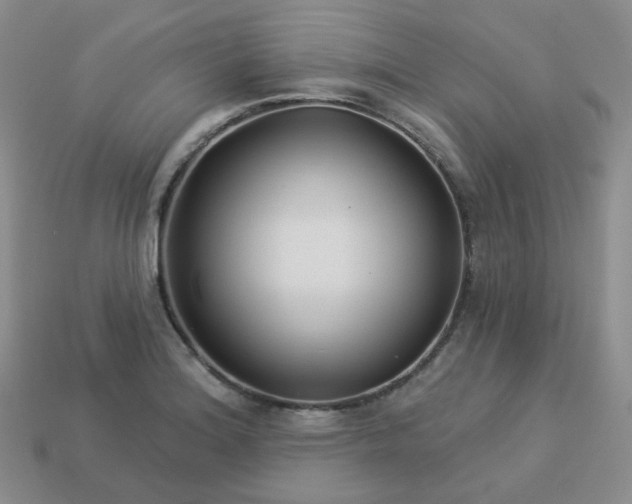 X0000114161180200910221601