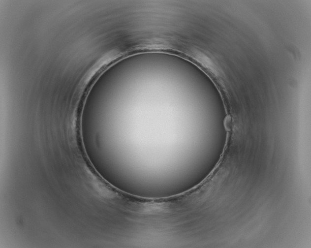 X0000114161181200910221601