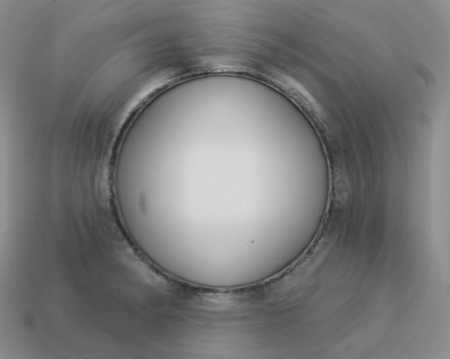 X0000114161182200910221601